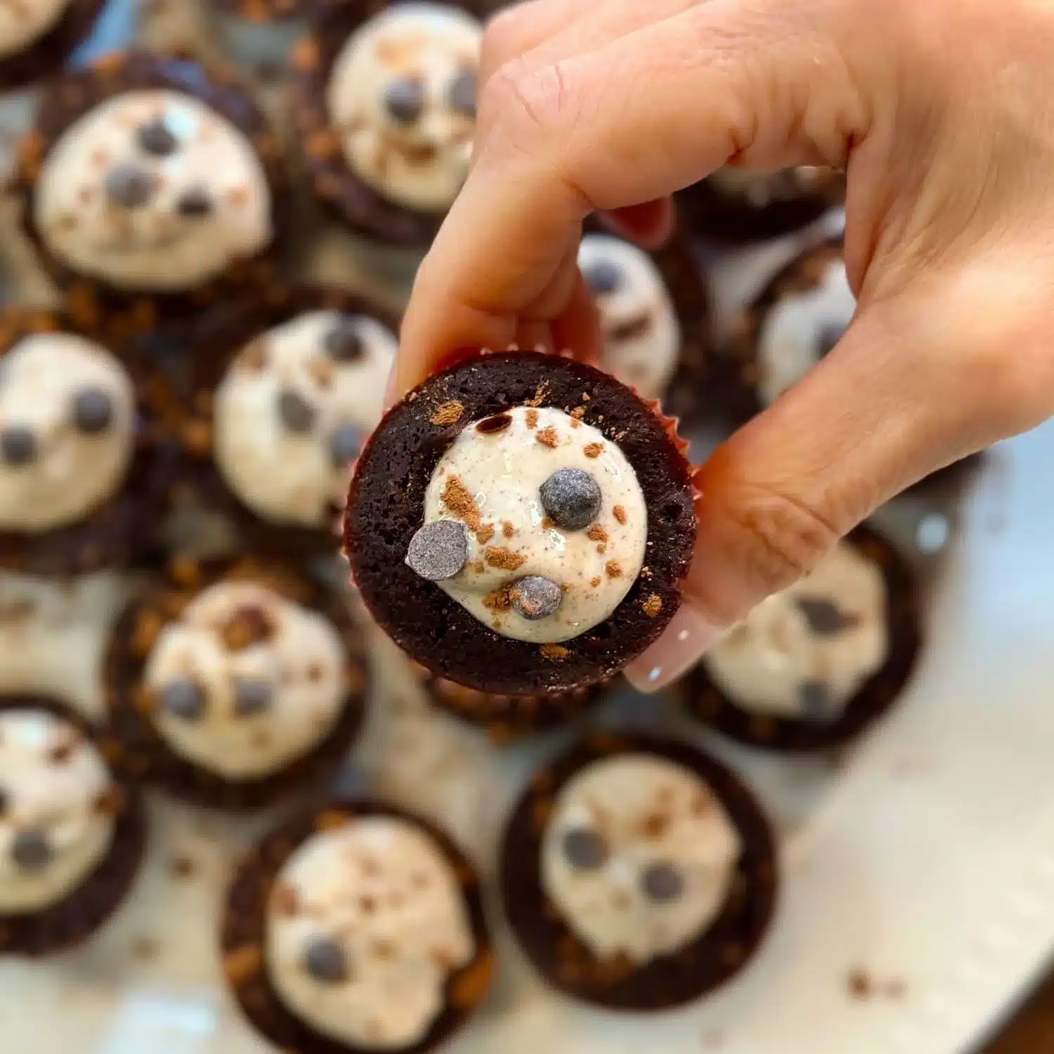 Mini Cheesecakes with Brownie Base 4 Mini Cheesecakes with Brownie Base