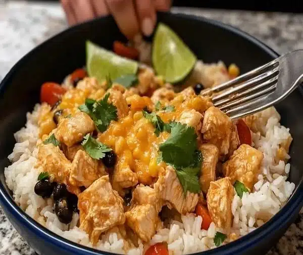 Mexican Chicken and Rice with Cheese